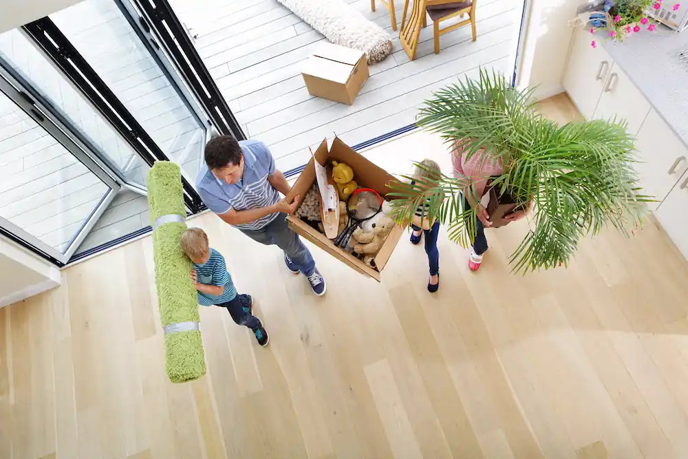 Moving with Plants and Trees