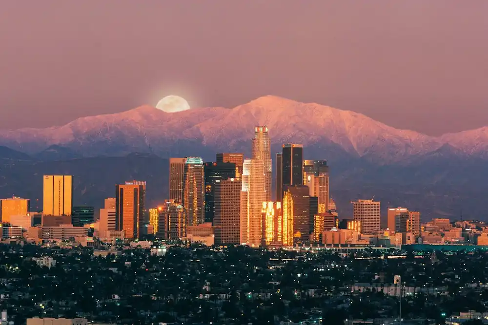 How to Hire Professional Movers in Los Angeles