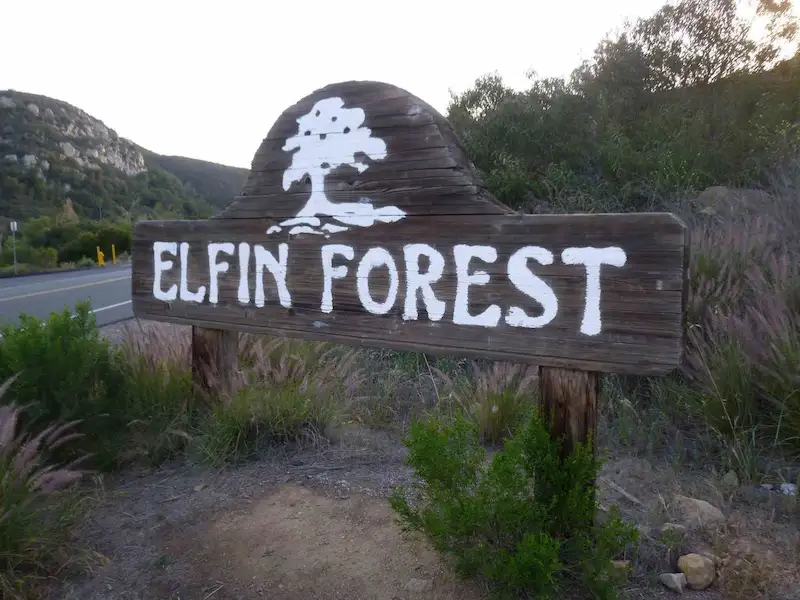 Elfin Forest