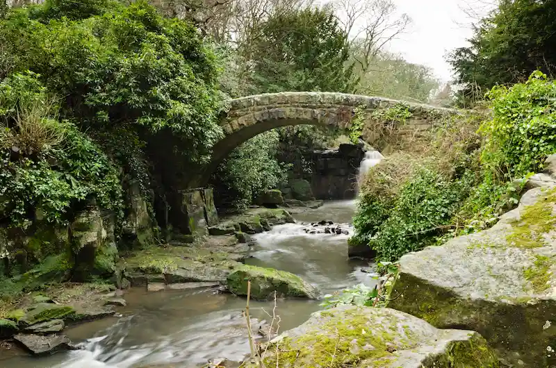 Jesmond Dene