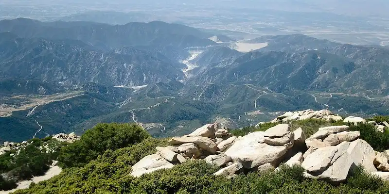 Angelus Oaks