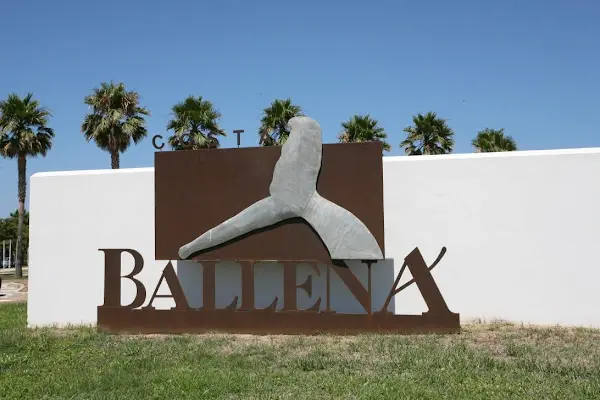 Ballena