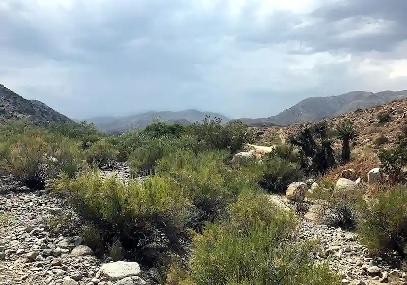 Morongo Valley